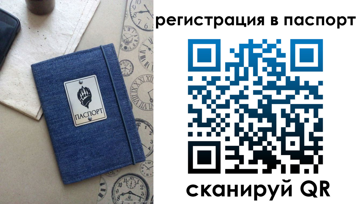 прописка в Шахунье